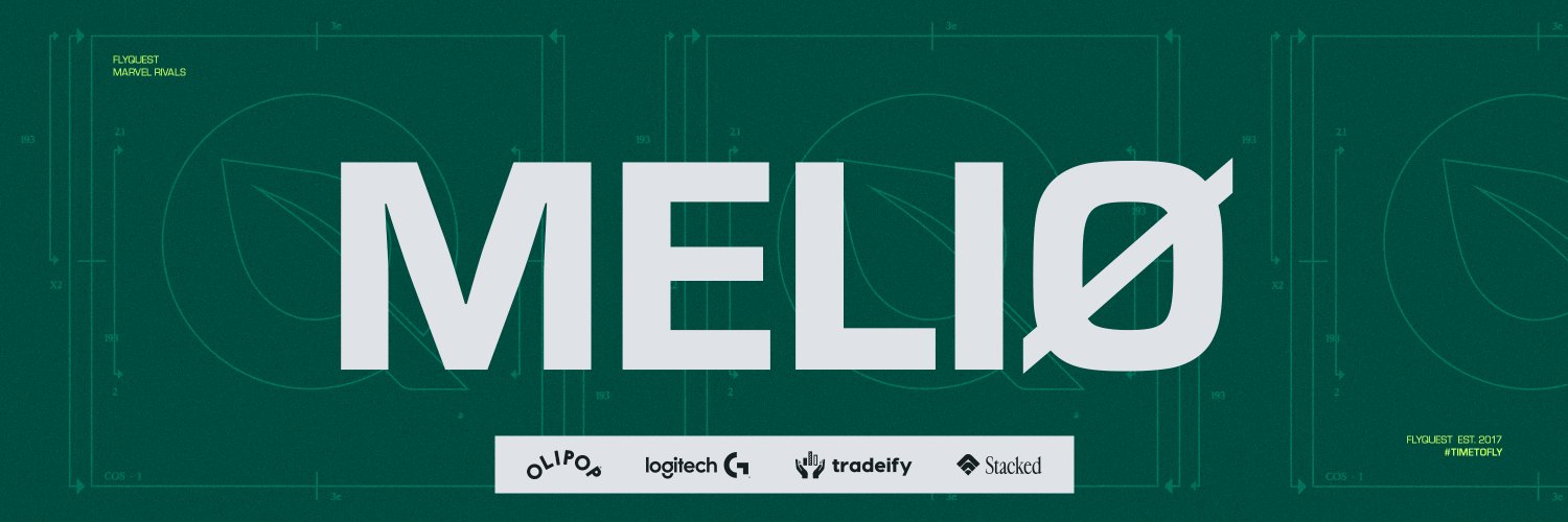 FLY Meliø's banner
