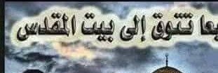 Ami𓂆ra's banner