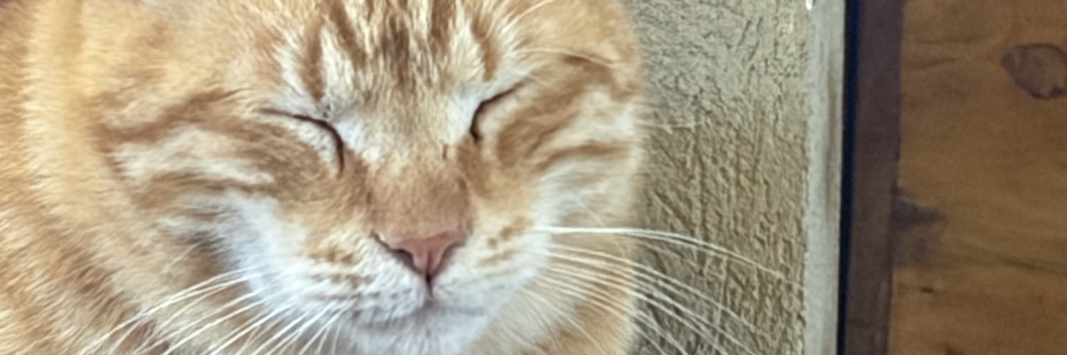 לירי בורק שביט's banner