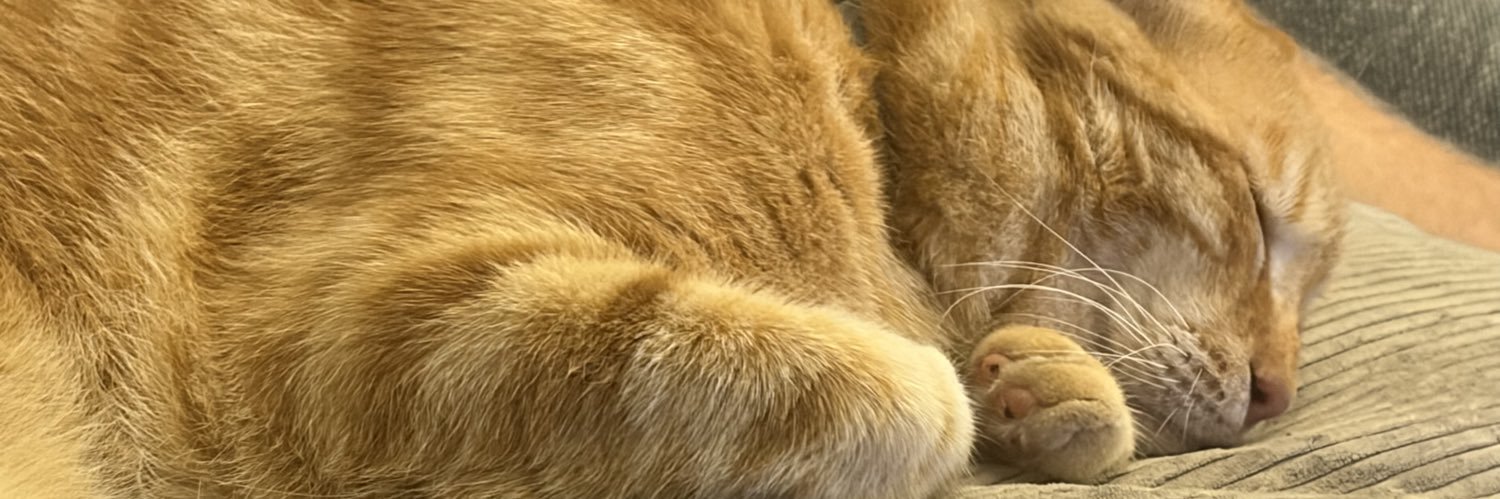לירי בורק שביט's banner