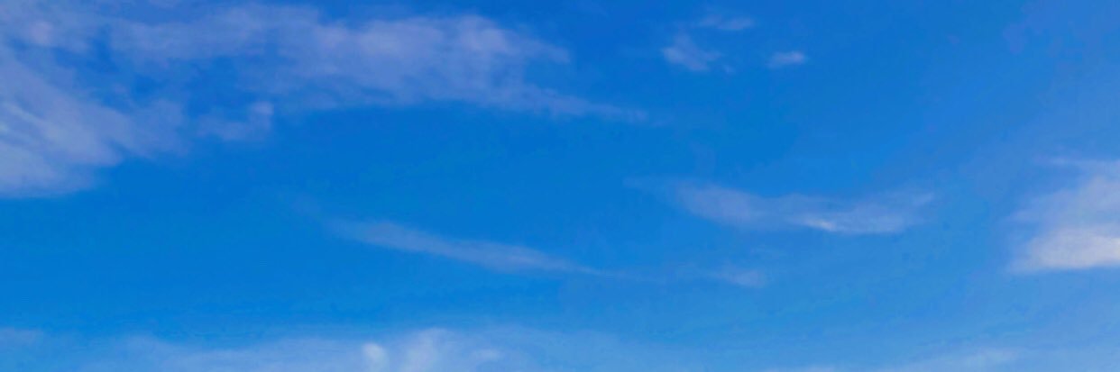 A U L's banner