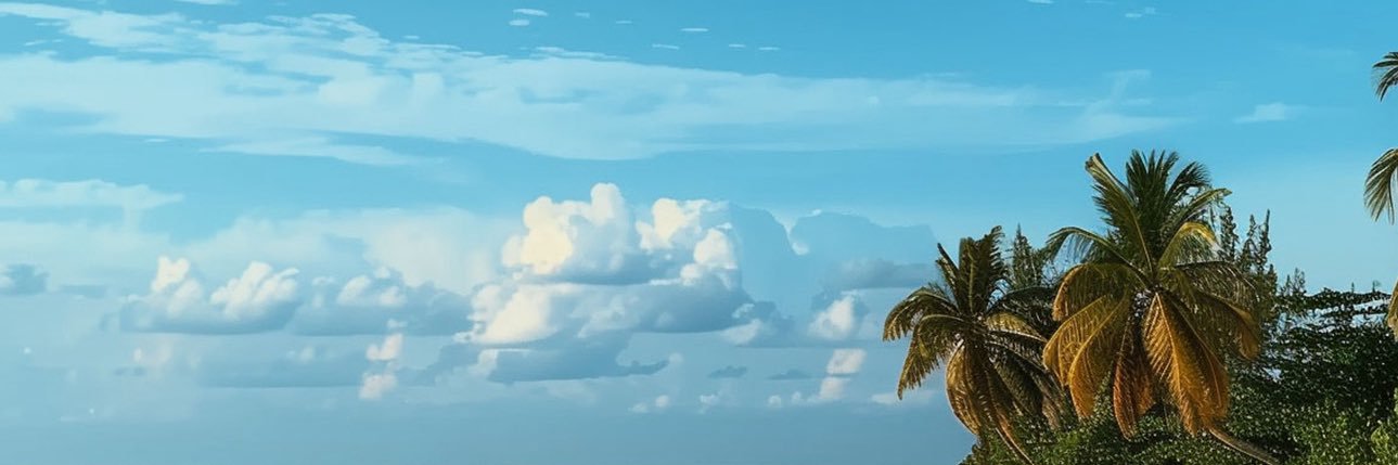 抖音真空露点's banner