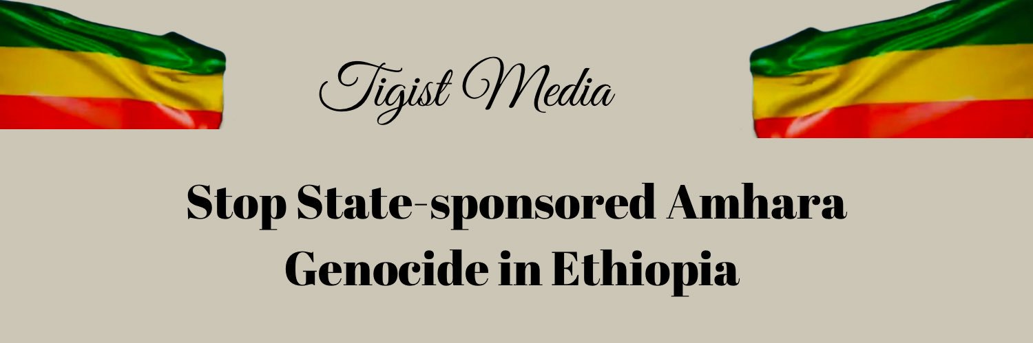 Tigist Media's banner
