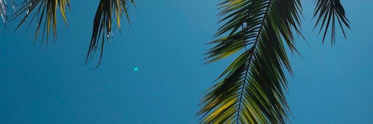 boy fenty✧'s banner