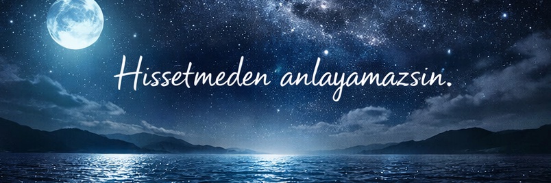Balık Ruhu 🐟's banner