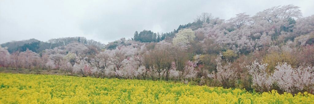 加藤メカ's banner