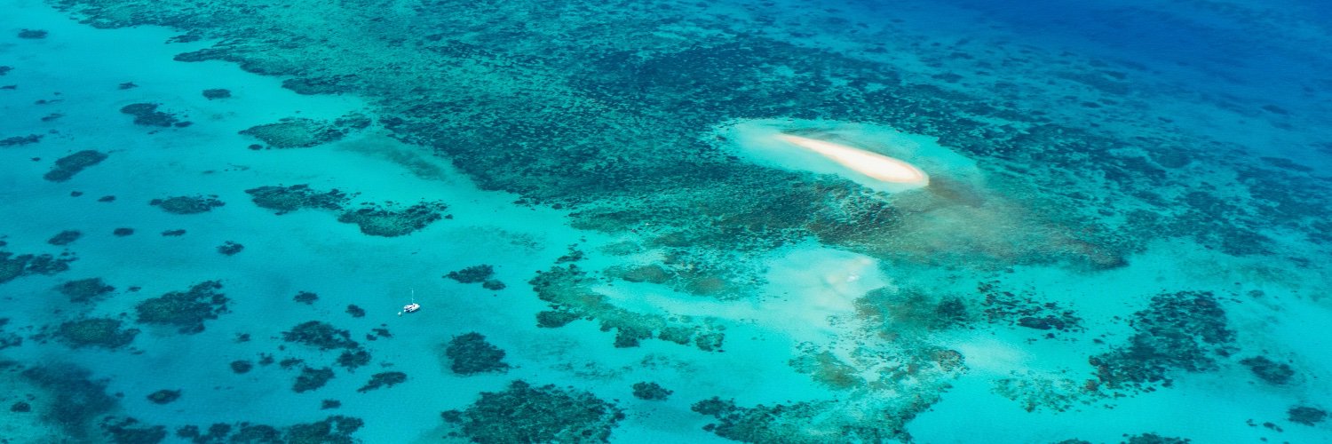 ケアンズ観光局【公式】🇦🇺's banner