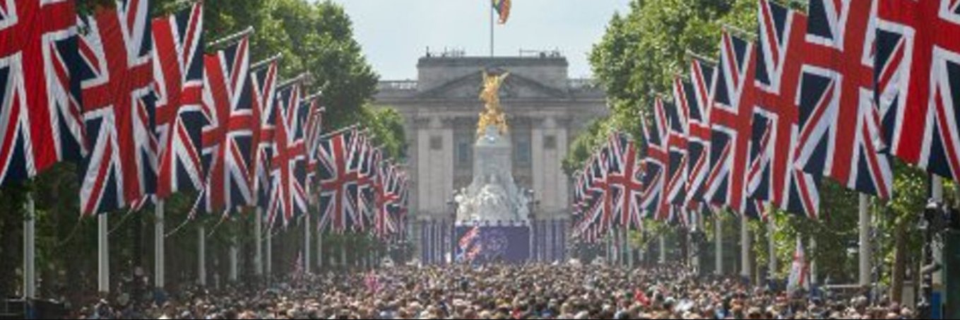 👑The Office of Cee Bee's banner