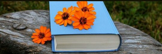 •DİLAN's banner