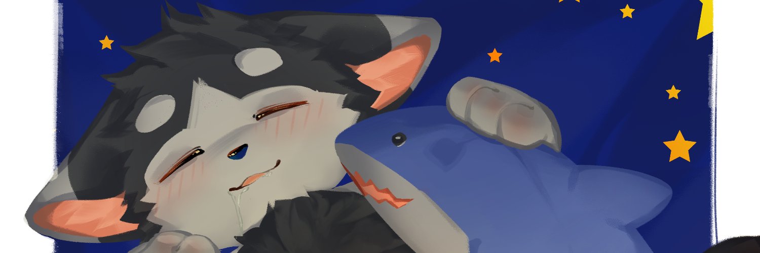 黑白小狐狸's banner