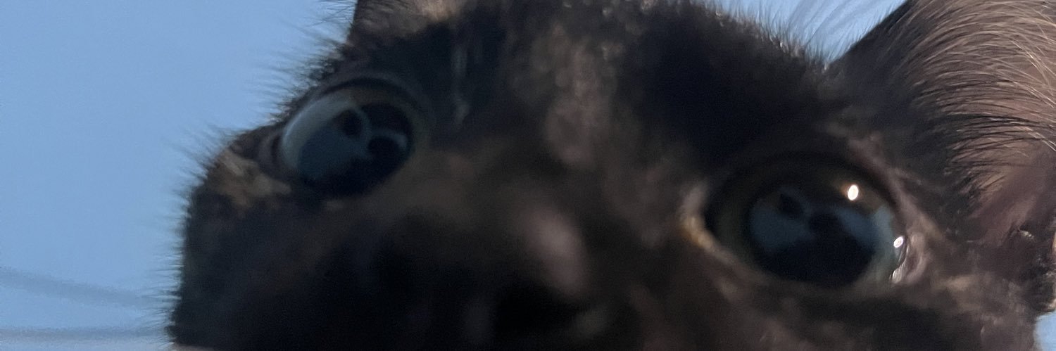 lucas 🦂's banner