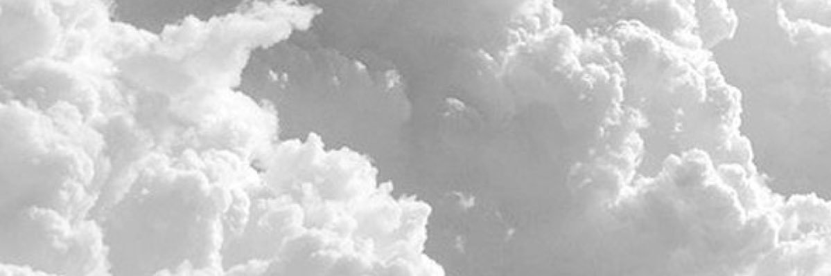 🤍🤍🤍's banner