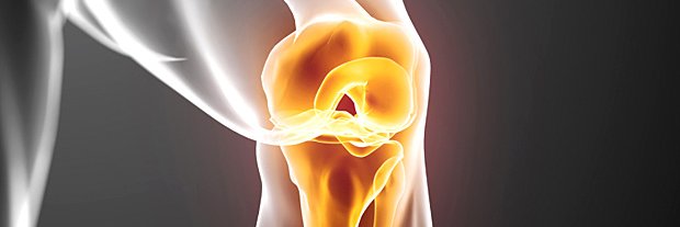 Knee Spain's banner