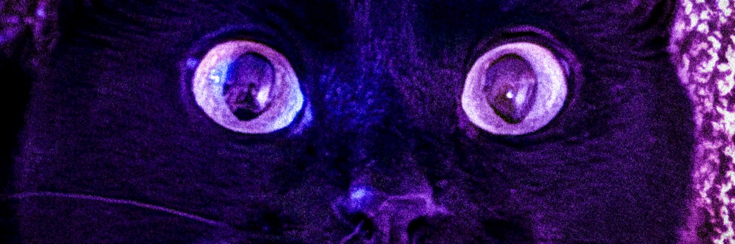𝕫𝕖𝕪 🖤's banner