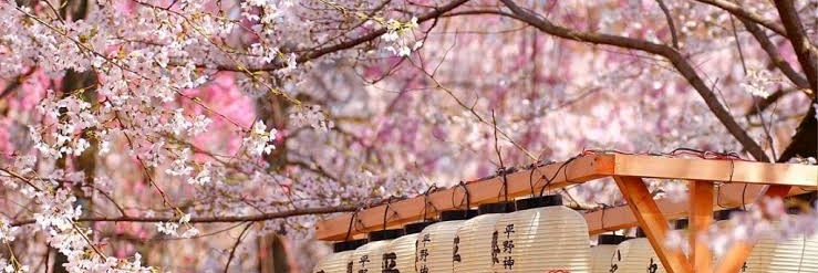 いの陽介 Yosuke Ino (AV)'s banner