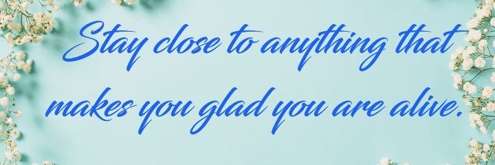 Sara's banner
