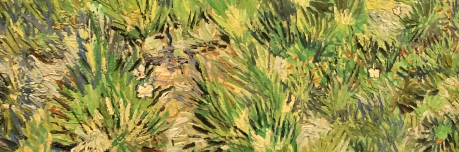 🌻Seywun☁️'s banner