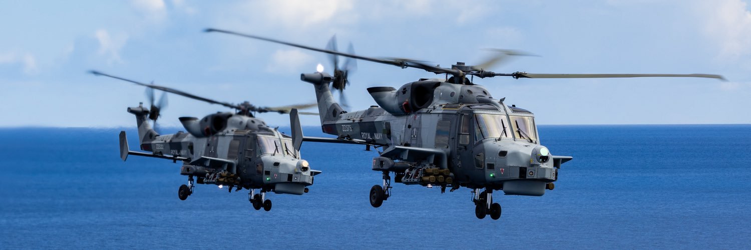 815 Naval Air Squadron's banner