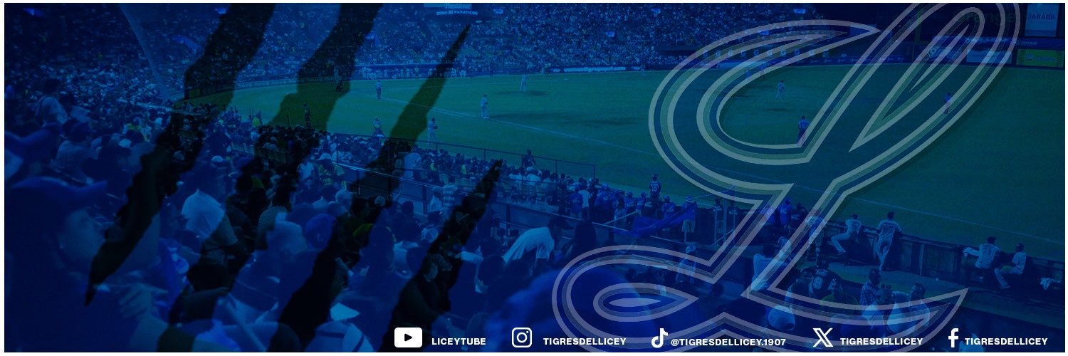 Tigres del Licey's banner