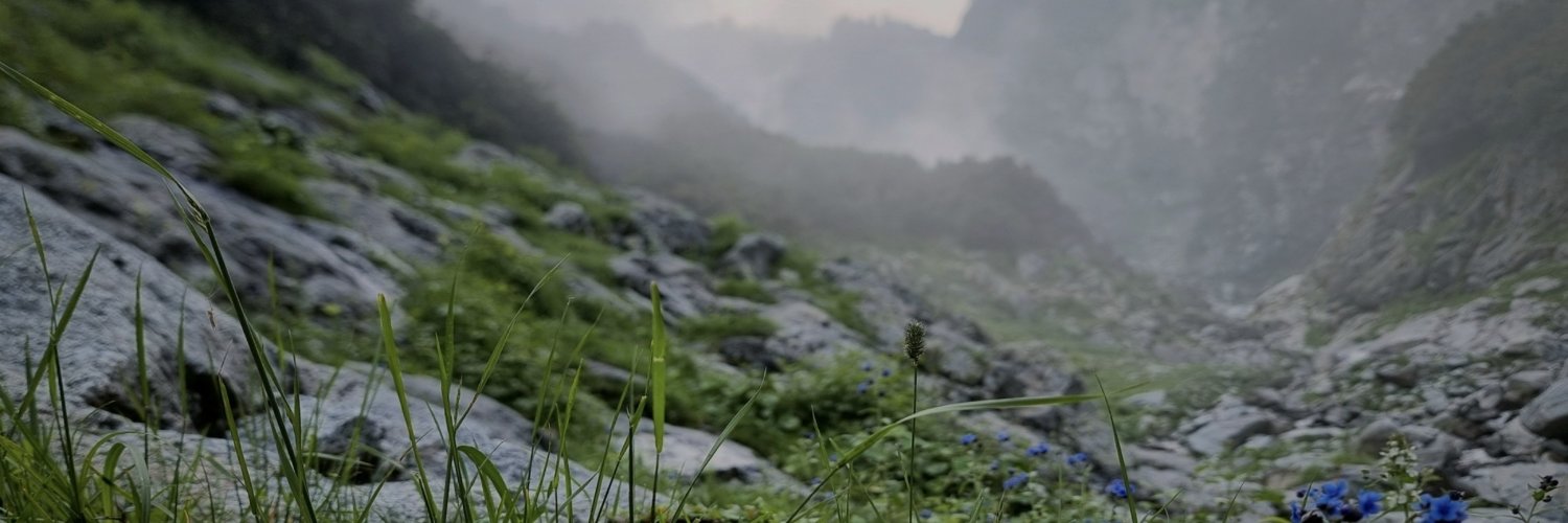 باز | Báz's banner