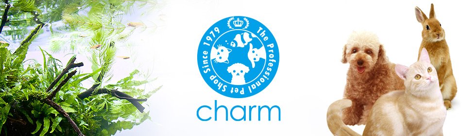 チャーム公式's banner