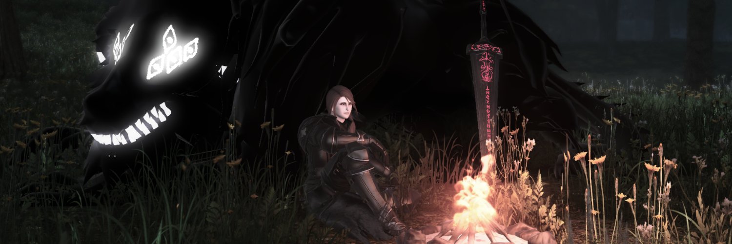 Dekken's banner