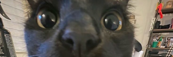 Andrew's banner