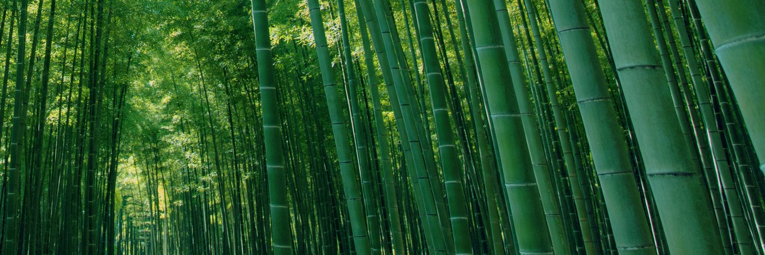 若竹の杜 若山農場【公式】's banner