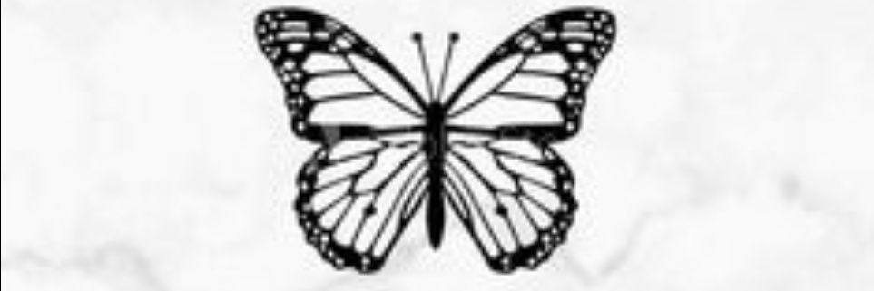 Özlem's banner