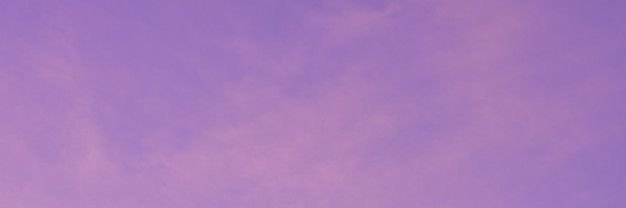 opacarofilia's banner