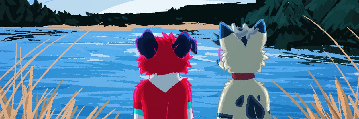 Wrong target area collie ⚡️🌪️'s banner