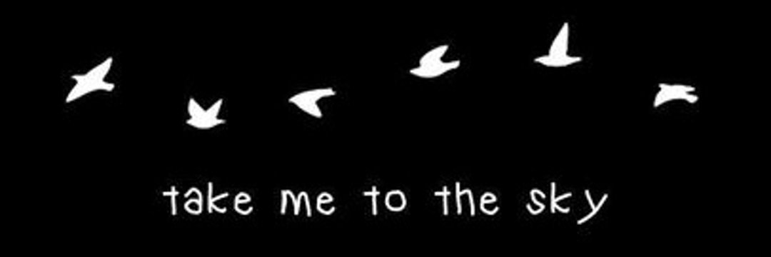 شهود✨'s banner
