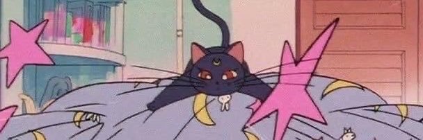 𝚌𝚊𝚗𝚍𝚢 •ﾟ✿'s banner