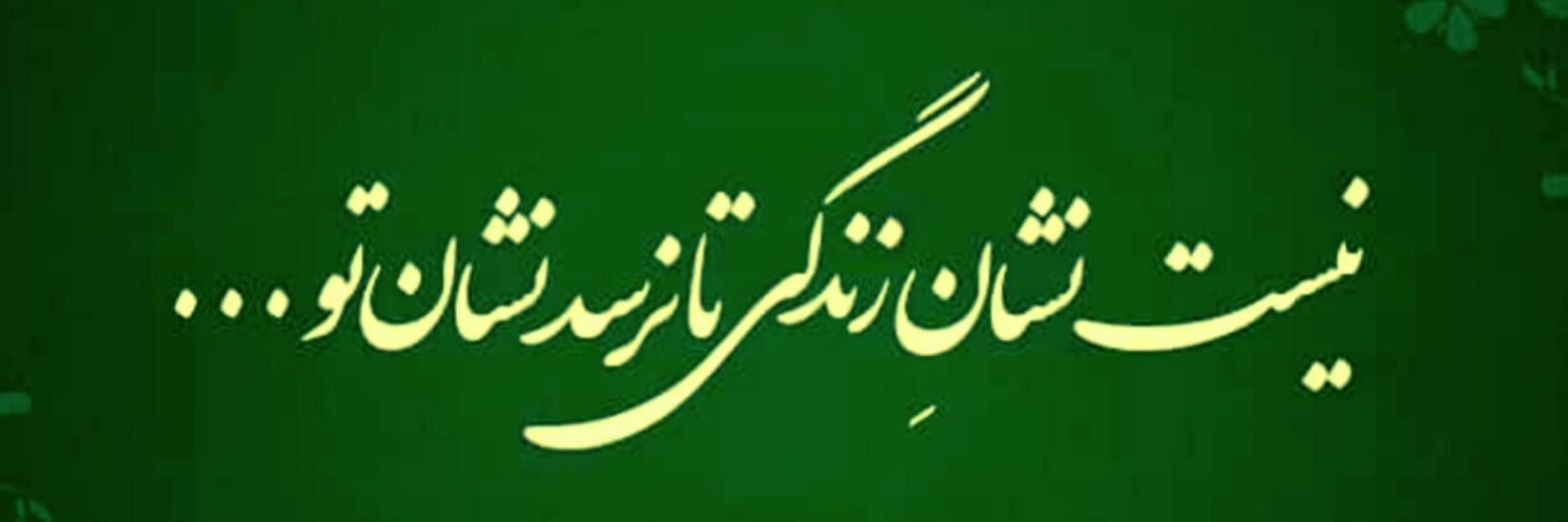 🍃مــائـــده بـانـو 🍃 💚 ☫ ❤️'s banner