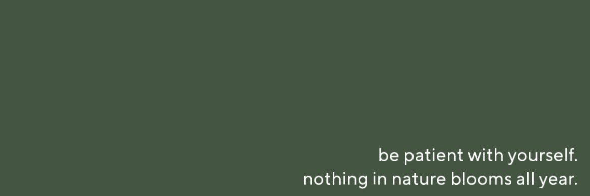 sierra's banner