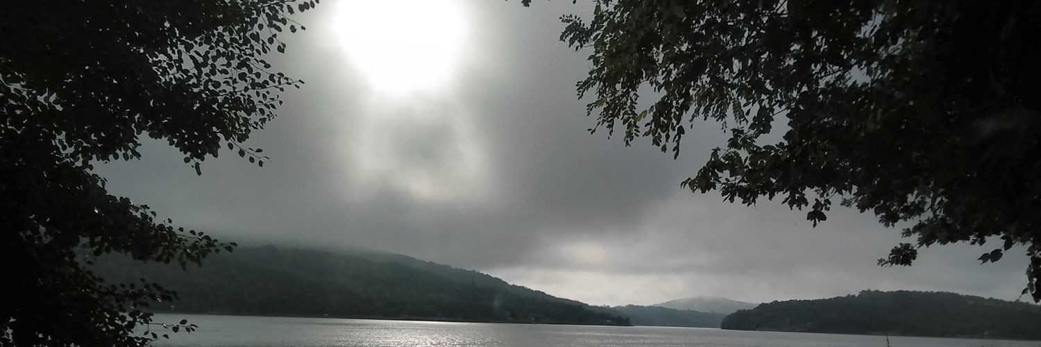 Šone Brate's banner