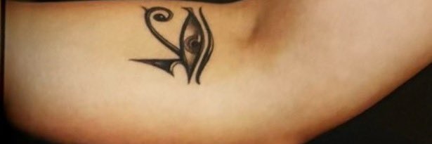 XULO's banner