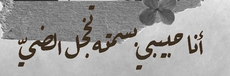 قنديل's banner