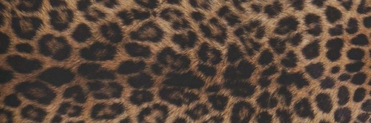 misha☾'s banner