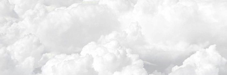 ⋆˚｡⋆ hanabelle ⋆˚｡⋆'s banner