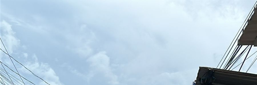 Dante's banner