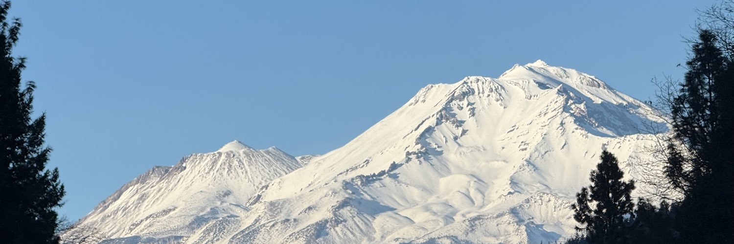 T Dog's banner