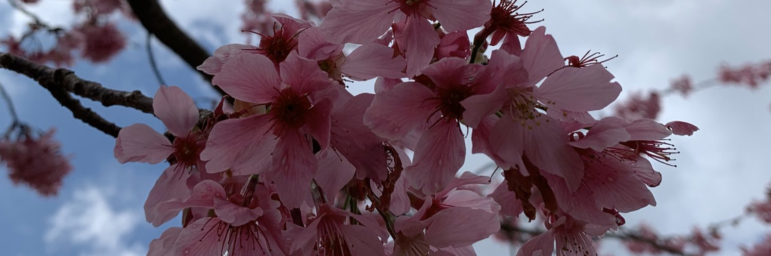 新竹情侶變夫妻's banner