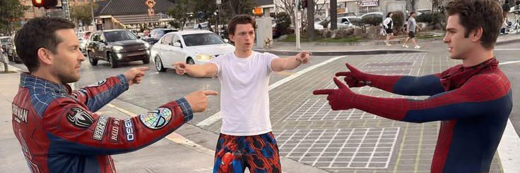 🕷️PiDer's banner