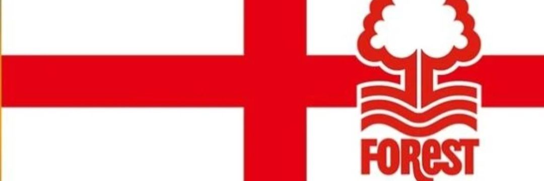 Andy NFFC 🏴󠁧󠁢󠁥󠁮󠁧󠁿🌳🌳🔴⚪️'s banner