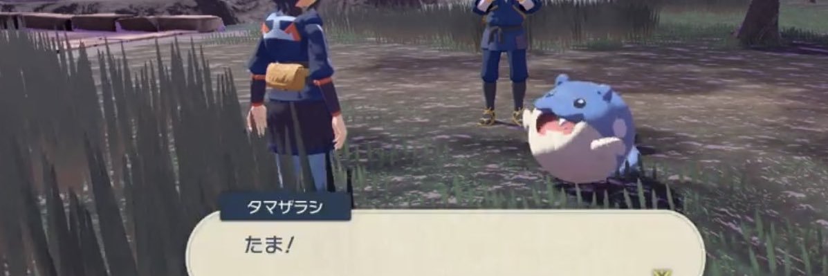 たまぼん's banner