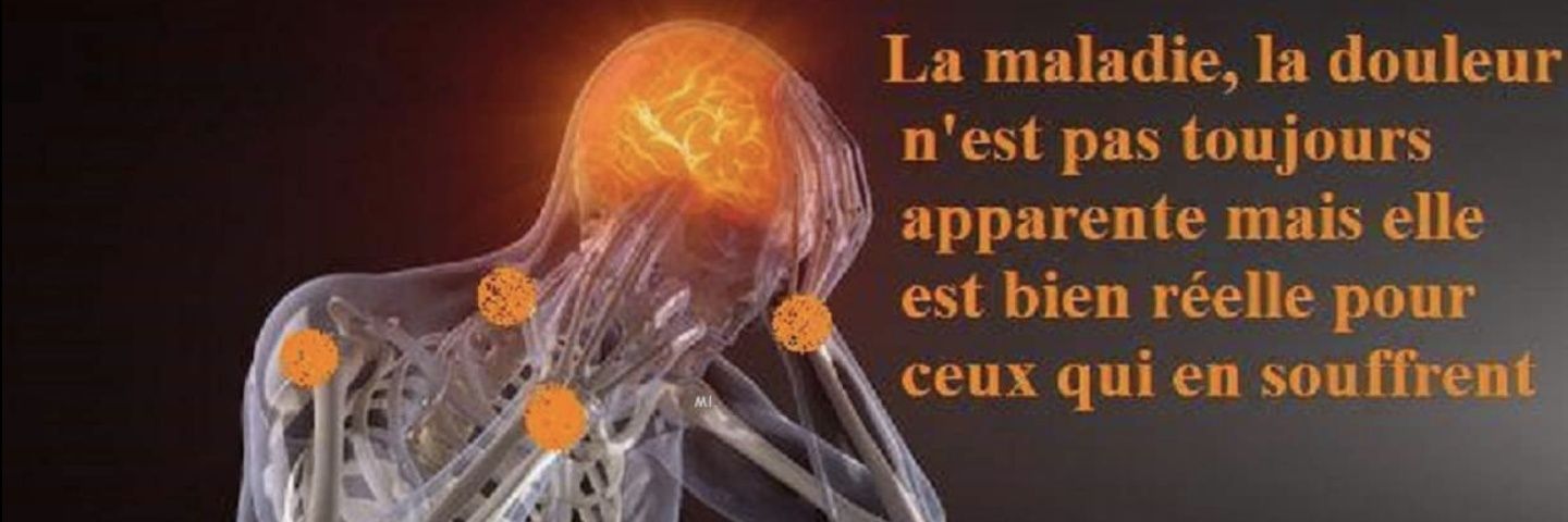 Elodie Dvt's banner