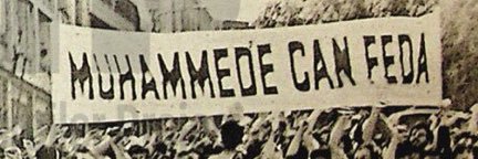nida's banner