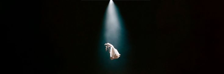 Lesᴬᴬ🐑🇻🇪 113's banner