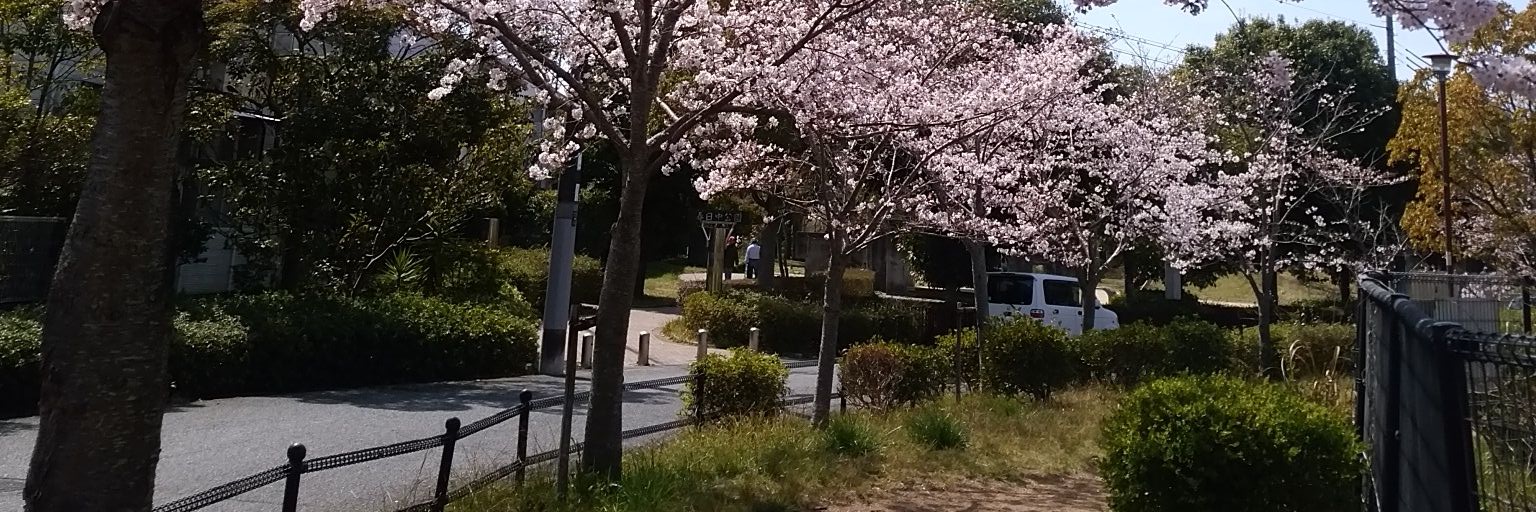ジュエリー志織【書道師範芸人】's banner